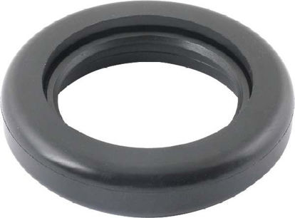 Picture of Main Seal, A-6700-MR