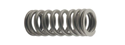 Picture of Valve Spring, 78-6513