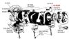 Picture of Crankshaft Gear 48-6306