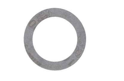 Picture of Drain PLug Gasket 52-6734