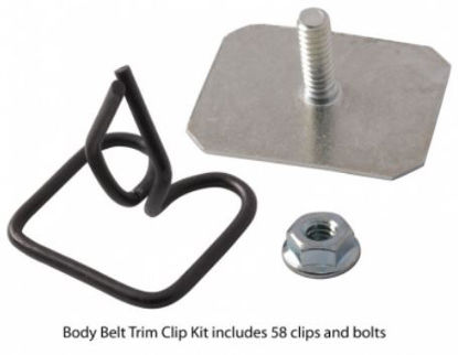 Picture of Body Belt Trim Clips, 21A-20005