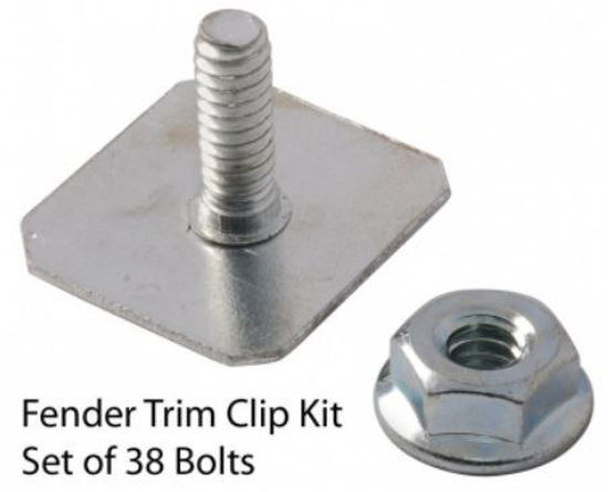 Picture of Fender Trim Clips, 6A-20011